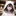유다빈