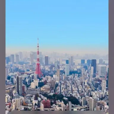 Profile image of 늑대