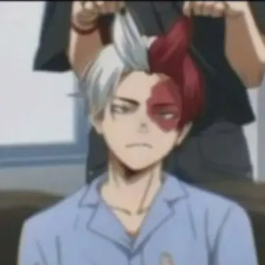 Profile image of Shoto Todoroki