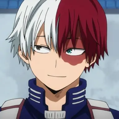 Profile image of Shoto Todoroki