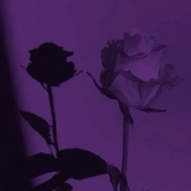 Profile image of 菊池風磨