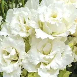 RiskyHero0299의 "나를 사랑해주세요.."