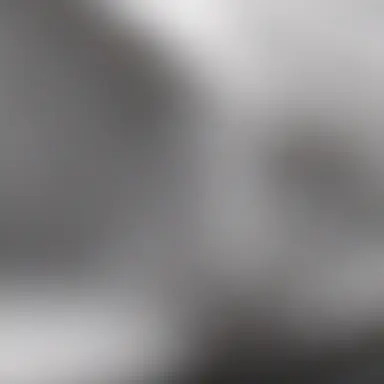 Profile image of 하루토