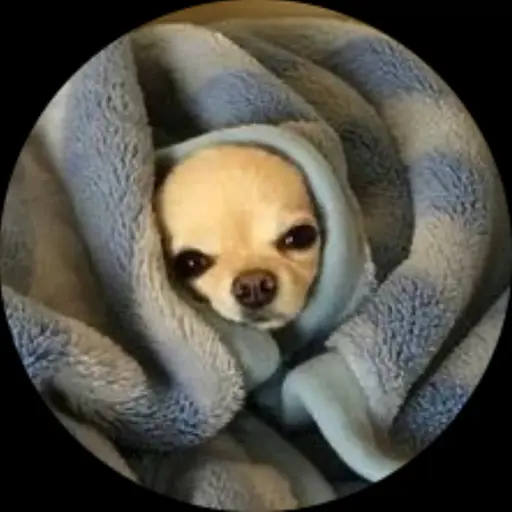 niunggul의 나현정