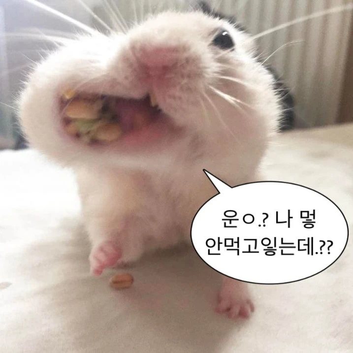 간호사1