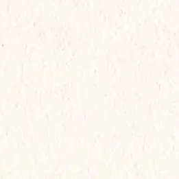 MgQA의 特別扱い