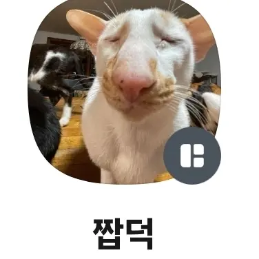 gexsay의 이짭덕