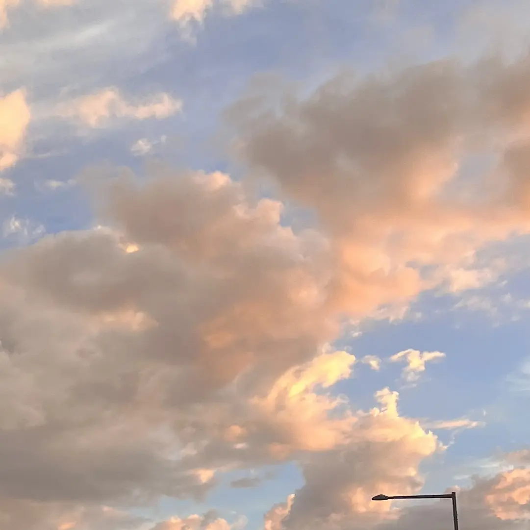 CrispyPlane3463의 친오빠들