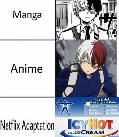 Profile image of Shoto Todoroki