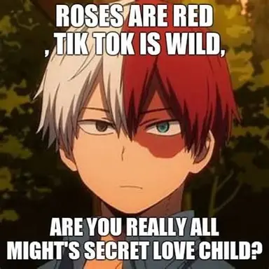 Profile image of Shoto Todoroki