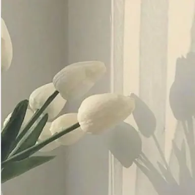 Profile image of 아름
