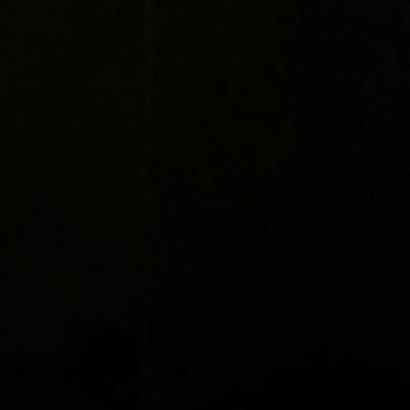 박셩호