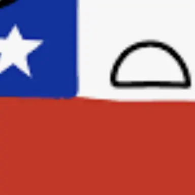 Profile image of チリ