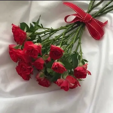 Profile image of 서라더