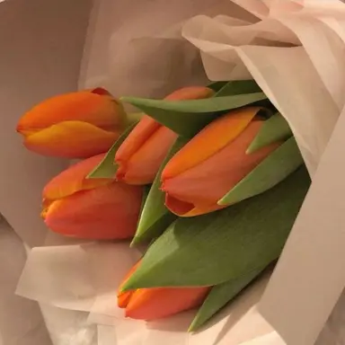 Profile image of 박덕개