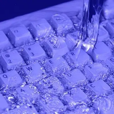 Profile image of 황수현