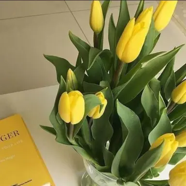 Profile image of 김각별