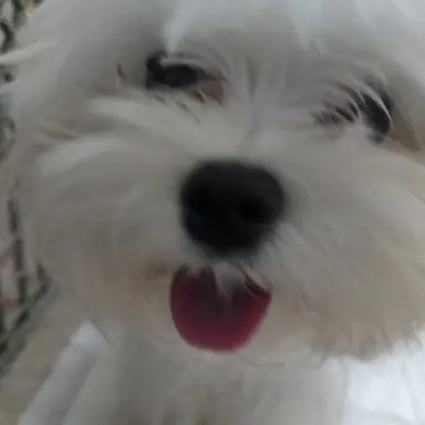 Profile image of 최현아