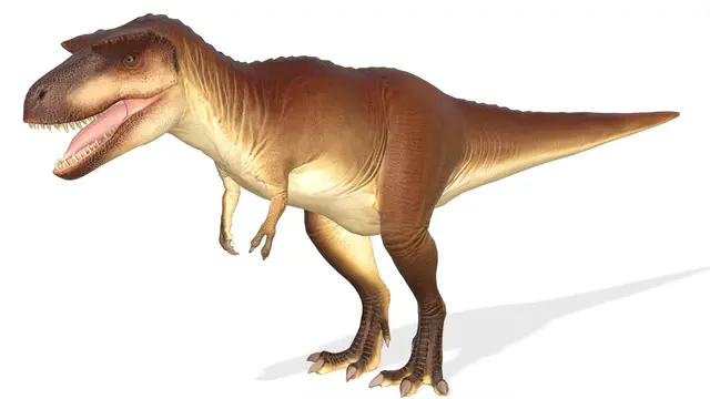 Profile image of 기타