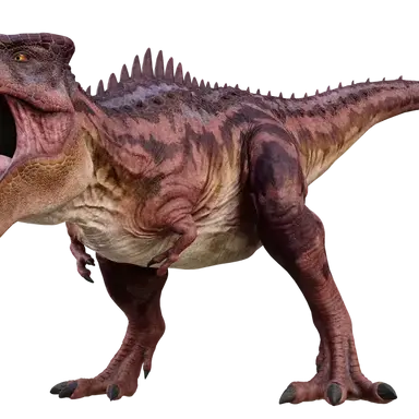 Profile image of 기타