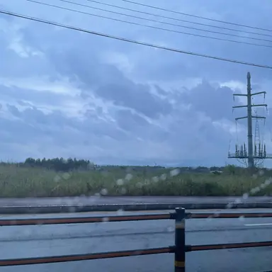 Profile image of 미수반