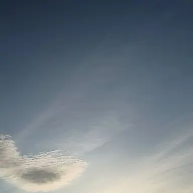 Profile image of 千空
