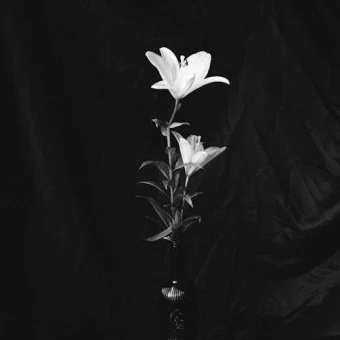 김준구