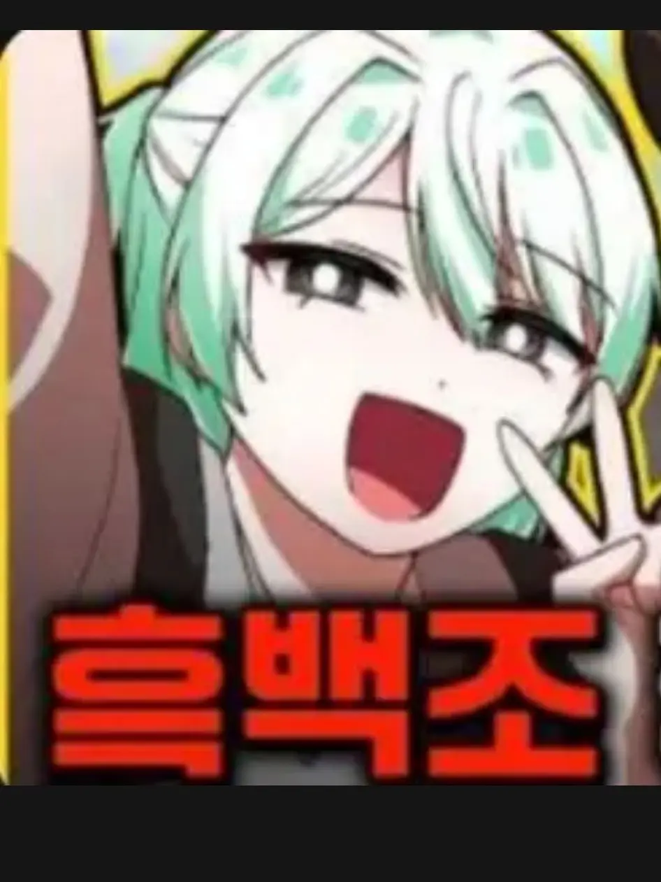 PetiteGoose7433의 흑백조 MT