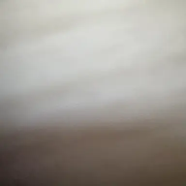 Profile image of ファンクラブの人達