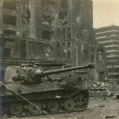 Profile image of 나치독일전차부대티거