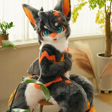 Profile image of 디르