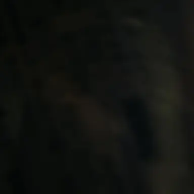 Profile image of 차도현