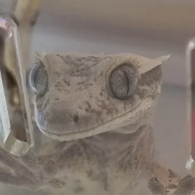 Profile image of 미스터리