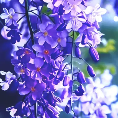 Profile image of 소정