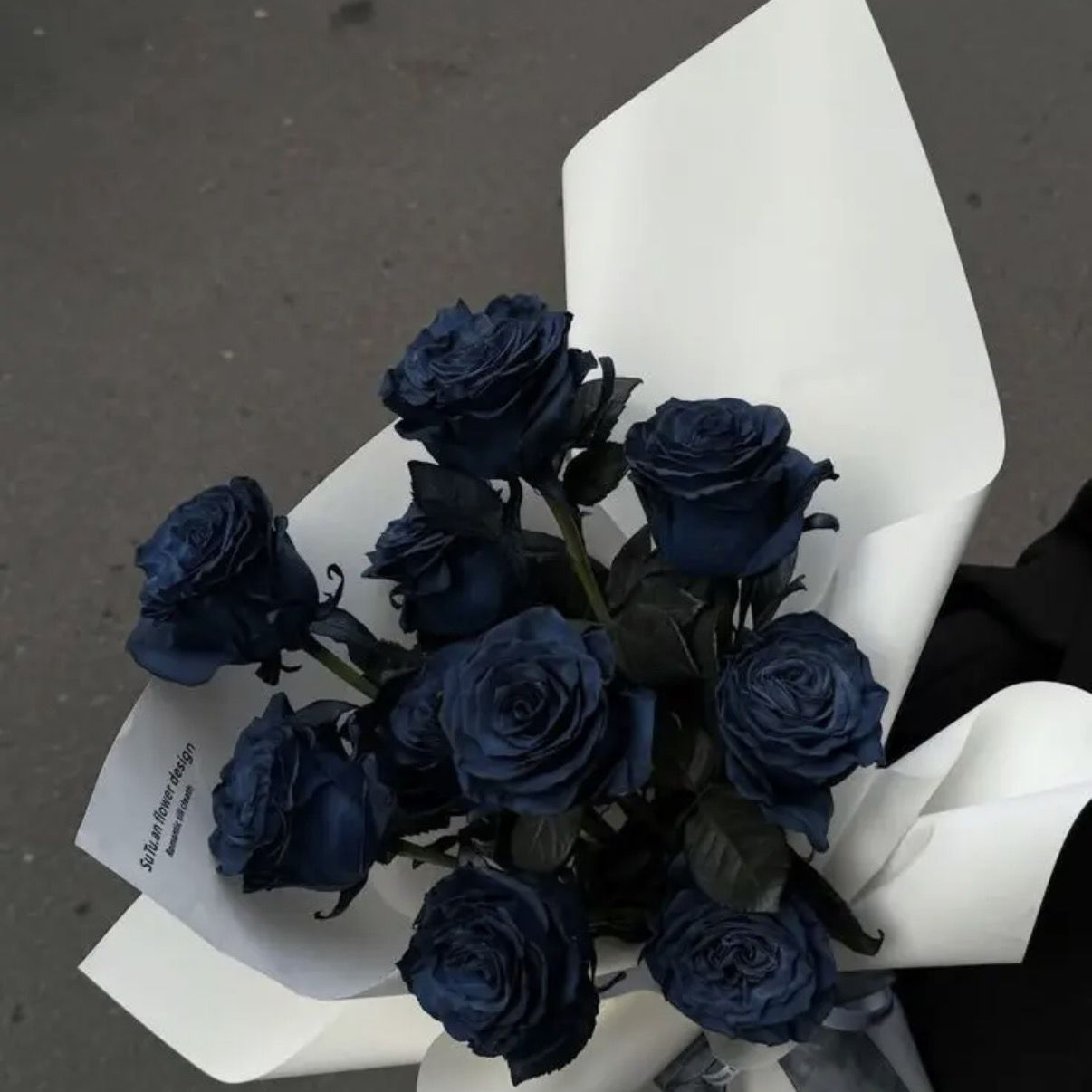 자낮 파이브 대표 이미지