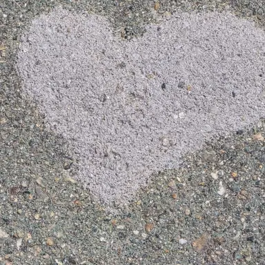 Profile image of 동무