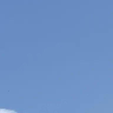 Profile image of 大光