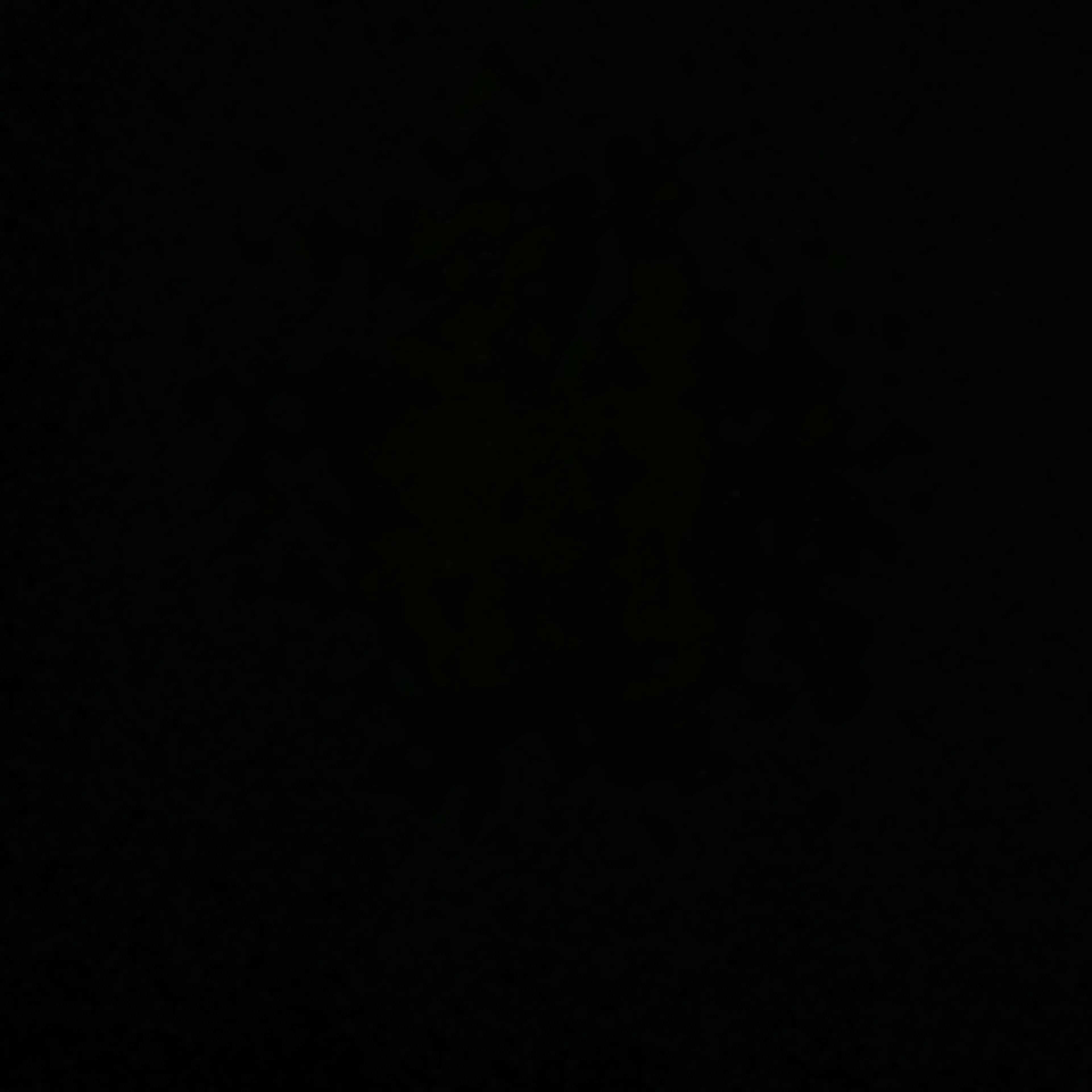 Karin.1214의 BE:FIRST