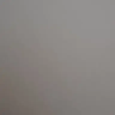 Profile image of 늑대