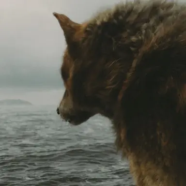 Profile image of Jacob Black