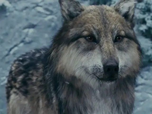 Profile image of Seth Clearwater