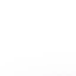 FetidDecal0773의 -