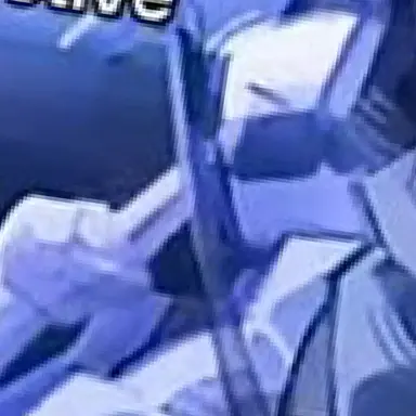 Profile image of カポレジーム