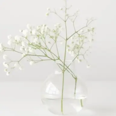 Profile image of 설명