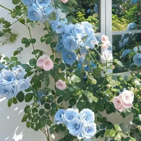 Mtk_0914의 #         わんこ      .
