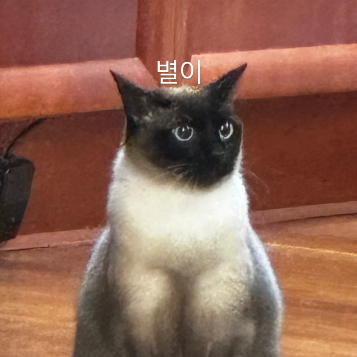 Choi3an