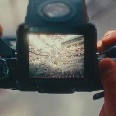 Profile image of コウジ