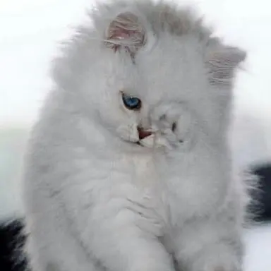 Profile image of ダイスケ