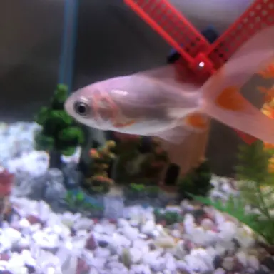 Profile image of 송