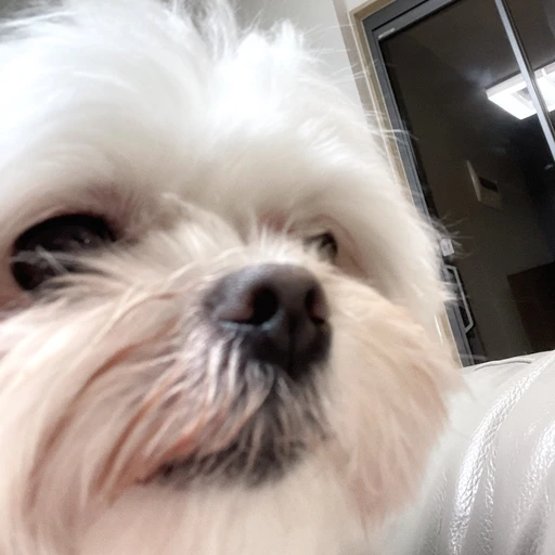 집착#집착녀#일찐